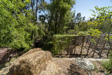 Enlarge photo 130