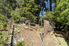 Enlarge photo 131
