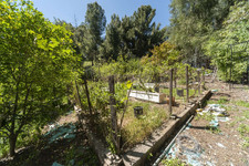 Enlarge photo 132