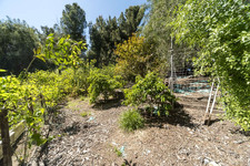 Enlarge photo 133