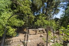 Enlarge photo 134