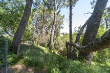 Enlarge photo 137