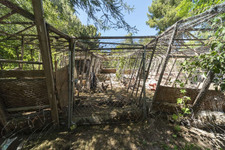 Enlarge photo 139