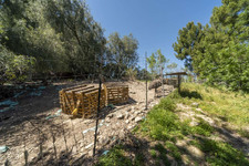 Enlarge photo 144
