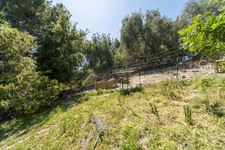 Enlarge photo 145