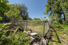 Enlarge photo 146
