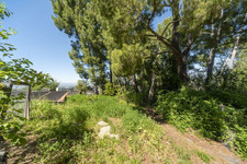 Enlarge photo 147