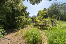 Enlarge photo 148