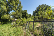 Enlarge photo 149