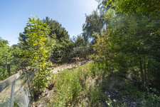 Enlarge photo 150