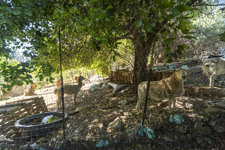 Enlarge photo 151