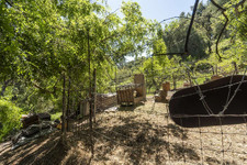 Enlarge photo 152