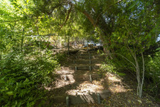 Enlarge photo 153