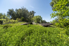Enlarge photo 154