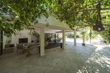 Enlarge photo 157