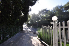 Enlarge photo 13