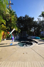 Enlarge photo 92