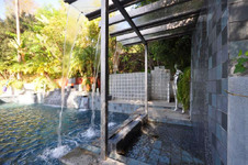 Enlarge photo 99