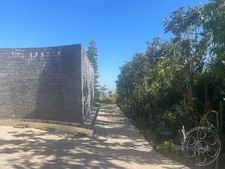 Enlarge photo 126
