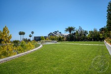 Enlarge photo 49