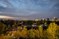 Enlarge photo 53