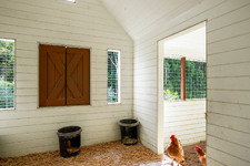 Enlarge photo 107