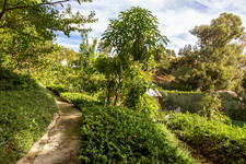 Enlarge photo 110