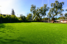 Enlarge photo 122