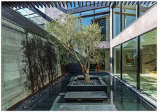 Enlarge photo 38