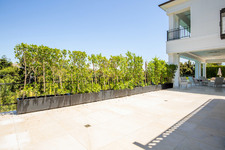 Enlarge photo 128
