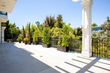 Enlarge photo 130