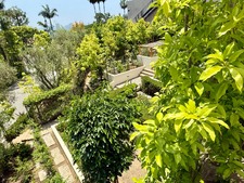 Enlarge photo 117
