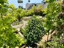 Enlarge photo 118