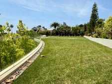 Enlarge photo 113