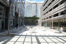 Enlarge photo 79