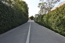 Enlarge photo 88