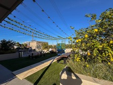 Enlarge photo 49