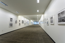 Enlarge photo 57
