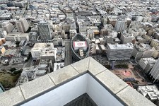Enlarge photo 222