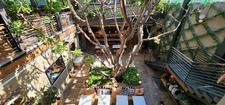 Enlarge photo 16