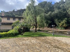 Enlarge photo 85