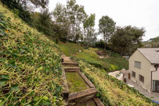 Enlarge photo 84