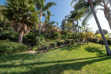 Enlarge photo 85
