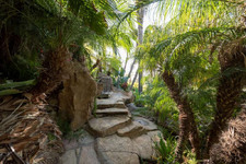 Enlarge photo 103
