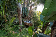 Enlarge photo 105