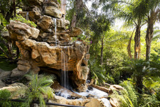 Enlarge photo 106