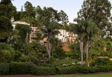 Enlarge photo 135