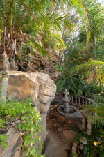Enlarge photo 167