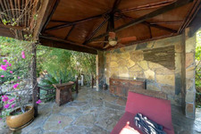 Enlarge photo 175
