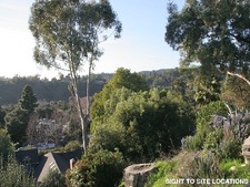 Enlarge photo 55